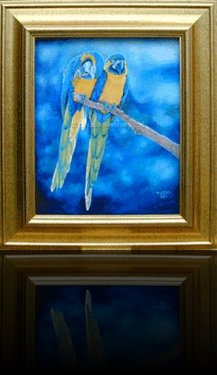 Anderson's Macaws